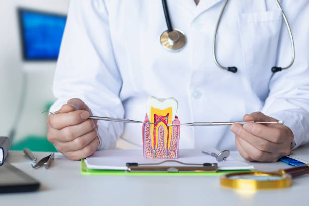 Best Emergency Root Canal Therapy in Desnso, CA